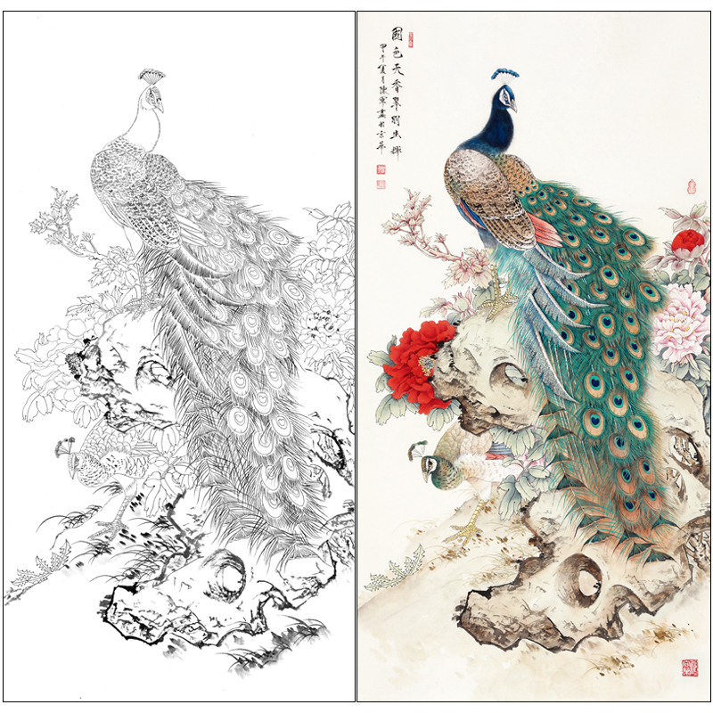 【有步骤】陈军工笔画白描底稿孔雀牡丹《国色天香翠羽生辉》CJ39