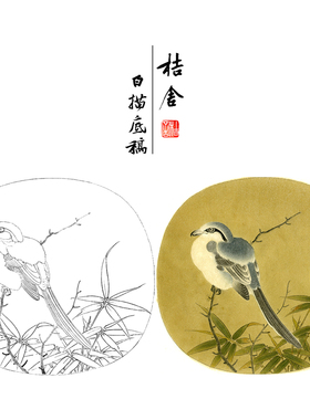李安忠工笔画白描底稿《竹鸠图》临摹勾线高清打印稿YL09