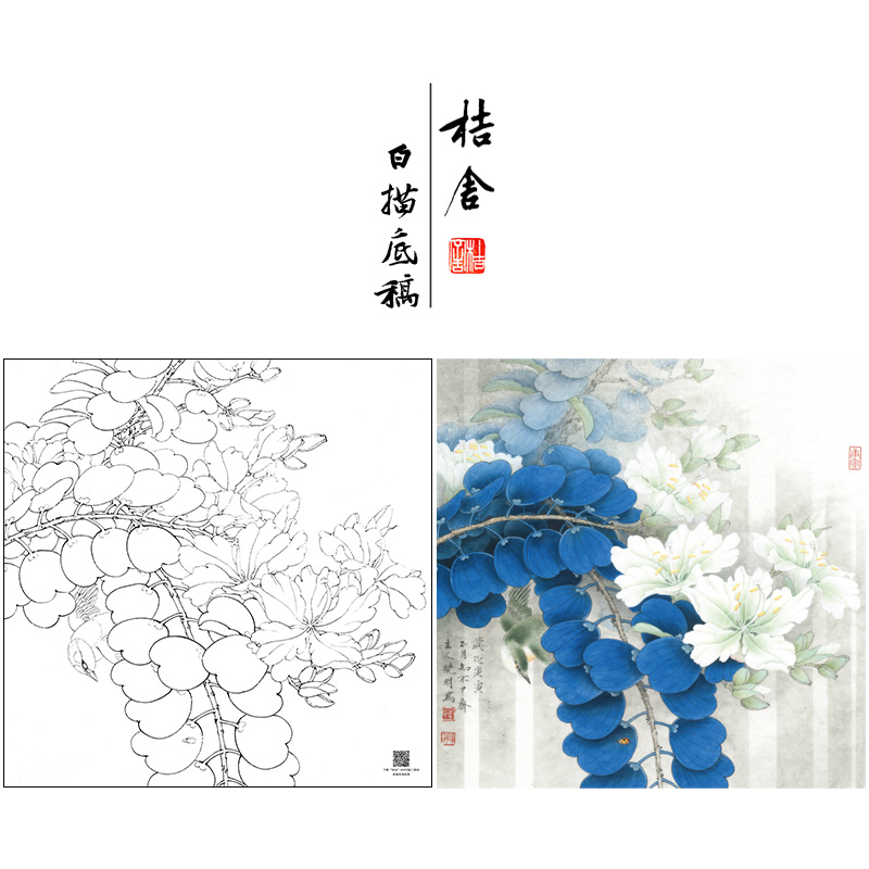 【大彩图】李晓明工笔画白描底稿斗方《绣眼白荆花》花鸟线稿K122