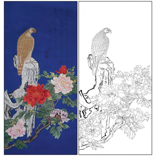 工笔画白描底稿于非闇花鸟《苍鹰牡丹图》临摹勾线高清打印稿AF18