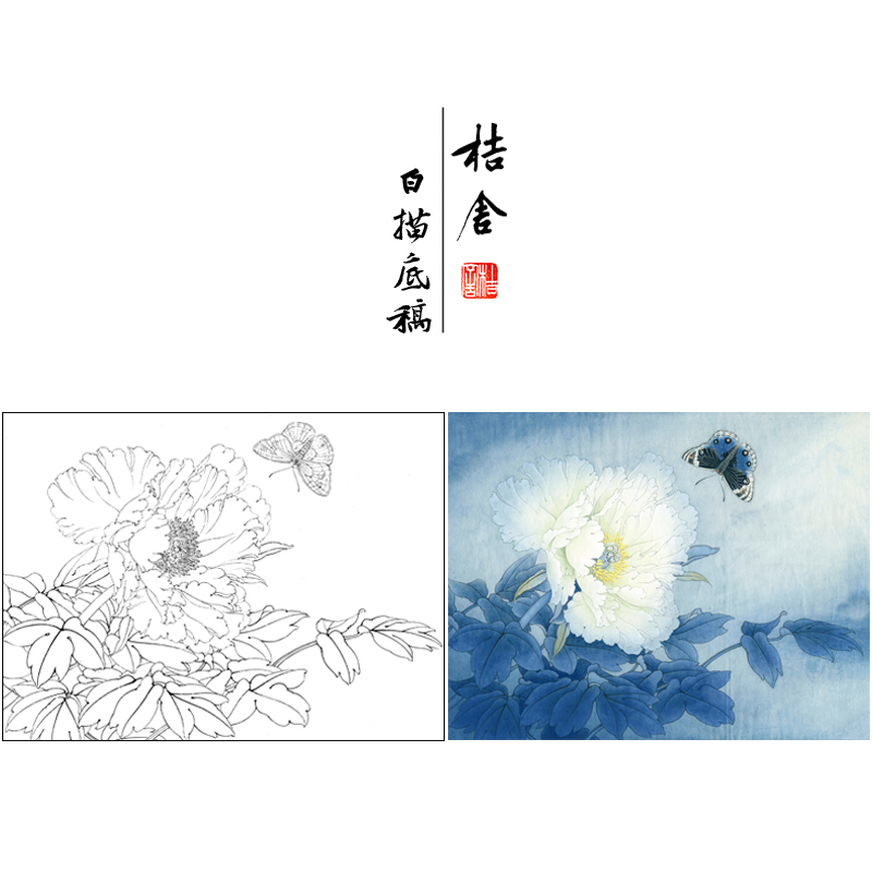 【有步骤、大彩图】李晓明工笔画白描底稿牡丹《凤丹白蛱蝶》KD35