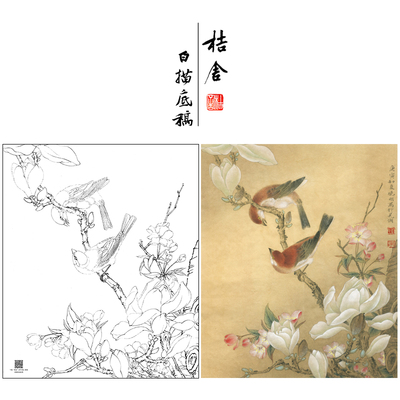【大彩图】李晓明工笔画白描底稿《玉兰双雀》初学者花鸟线稿K115