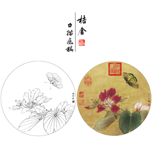 【有步骤、大彩图】工笔画白描稿《紫荆裳凤蝶》蝴蝶花鸟线稿KB07