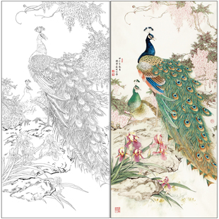 【有步骤】陈军工笔画白描底稿四尺《紫气东来》孔雀花鸟线稿CJ41