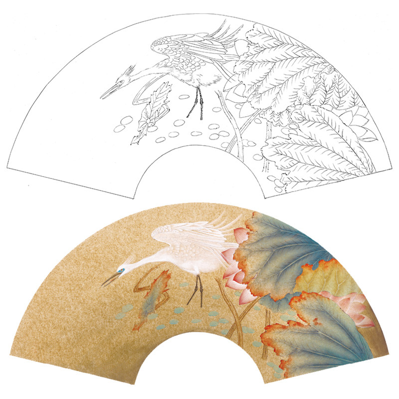 【大彩图】张建军工笔画白描稿扇面小品《荷花白鹭》花鸟线稿a341