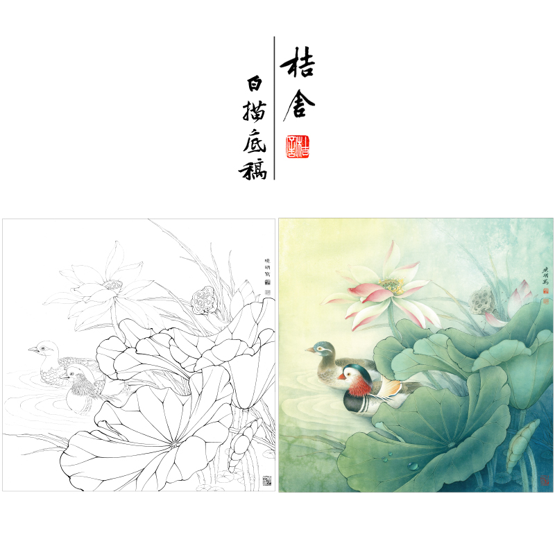 【有步骤、大彩图】工笔白描底稿斗方《鸳鸯荷花图》花鸟线稿KB08