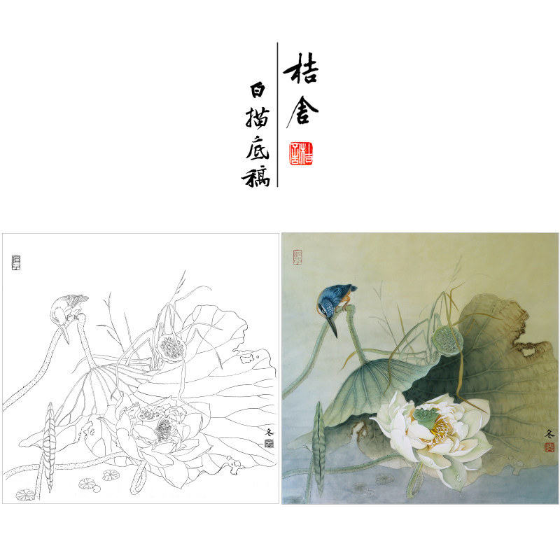 【有步骤,大彩图】杨冬冬工笔画白描荷叶翠鸟《纤手弄琼珠》hd53