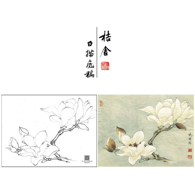 【大彩图】李晓明工笔画白描底稿《白玉兰》玉兰花花鸟线稿K101