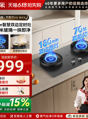 万家乐H6MAX双边定时燃气灶家用双灶天然气液化气台嵌入式炉灶AY9