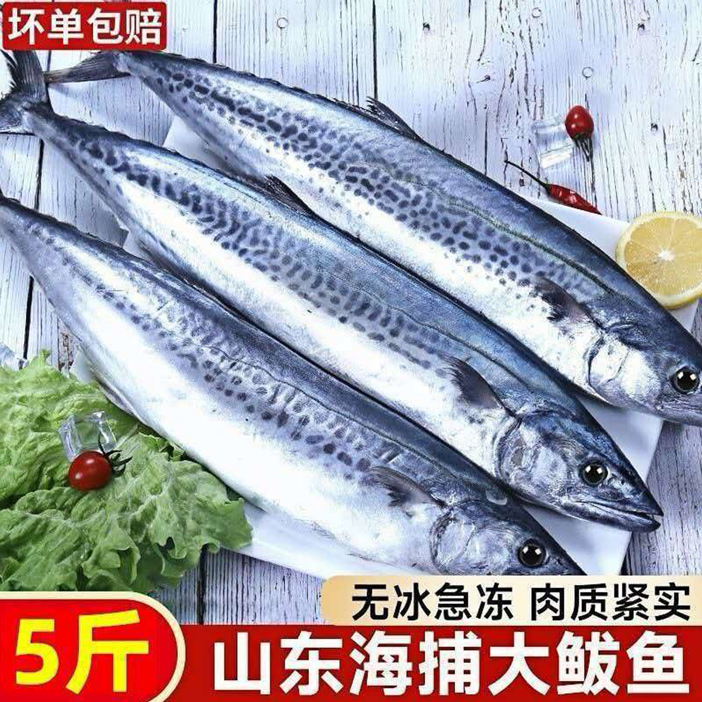 山东海捕鲅鱼5斤无冰衣急冻