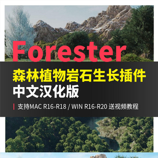 c4d Forester森林植物岩石花草树木生长插件器中文汉化版win/mac