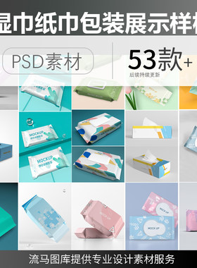高端盒装袋装湿巾纸巾多角度样式包装设计展示样机PSD素材模板