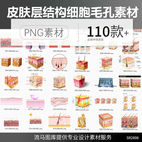 110款美容化妆品皮肤层结构细胞组织护肤品保养PNG透明免扣素材