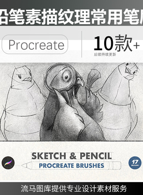 国外高端常用手绘铅笔素描纹理Procreate笔刷 (brushset)设计素材