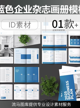 国外简约高端的蓝色企业杂志宣传画册杂志地产楼书ID设计素材模板