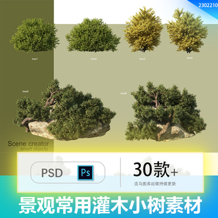 绿色景观造景场景常用小树灌木树丛假石合成画面PSD设计素材模板