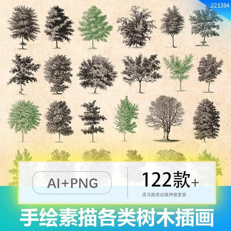 手绘素描黑白复古各类树木松树杨树果树树枝AI矢量插画PNG素材图