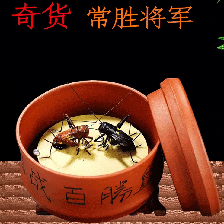 创意紫砂摆件雕塑雅玩茶宠 家居礼品常胜将军开盖发出2个蟋蟀真声