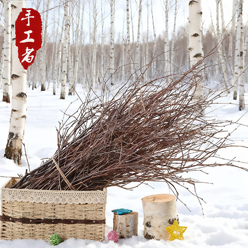 带叉室内擦花装饰家居文艺干树枝