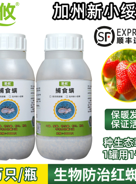 新日期发货捕食螨 果攸加州新小绥螨 红蜘蛛白蜘蛛蓟马天敌袋罐装