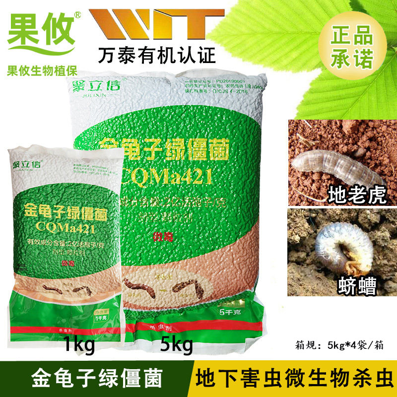 聚立信 金龟子绿僵菌 2亿孢子/克 萝卜甘蔗蛴螬地老虎地下杀虫剂