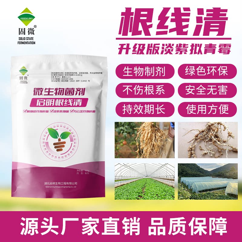 启明根线清根结问题微生物菌剂