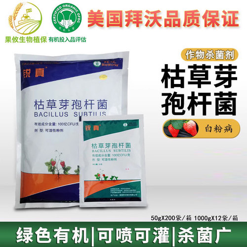 拜沃枯草芽孢杆菌白粉病杀菌剂