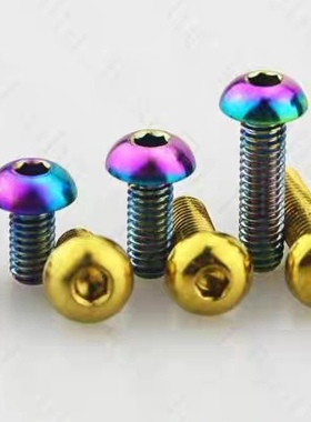 RISONTITANIUM 钛合金半圆头内六角自行车改装螺丝 水壶架螺丝