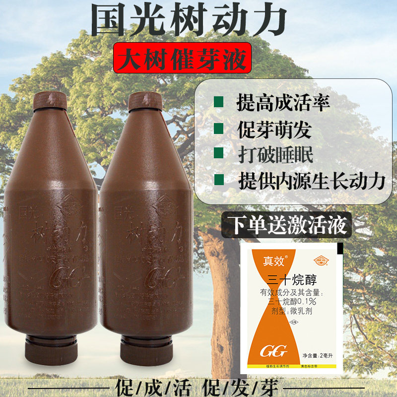 国光树动力大树催芽液苗木营养液树木吊针液打破休眠促发芽催芽剂