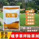 凡除套装 型草坪马尼拉结缕草台湾草百慕大草坪除草剂香附子药 暖季