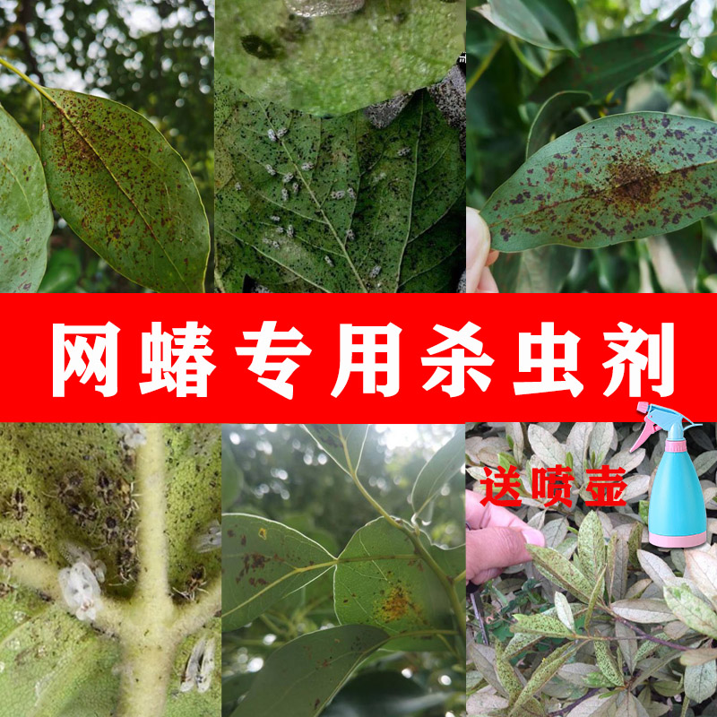 吡虫啉农药杀虫剂网蝽蚜虫白粉虱