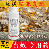 国光克静巨援白蚁专用杀虫剂5%联苯菊酯室内户外防治白蚁药正品
