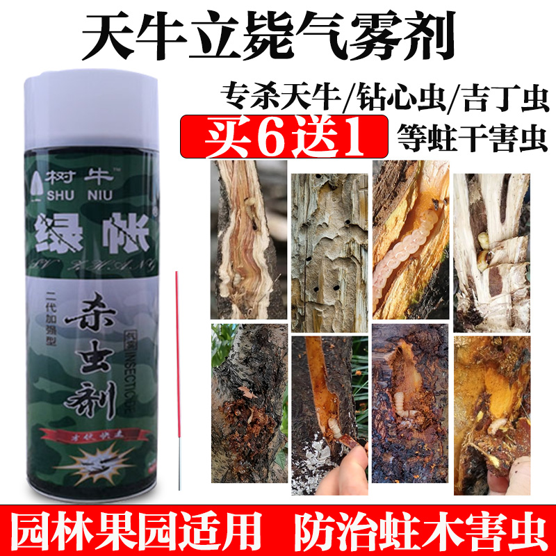 天牛立毙防蛀虫药杀虫剂绿帐天牛