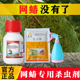 国光10%吡虫啉联菊啶虫脒杀虫剂白粉虱蚜虫蓟马网蝽农药杀虫剂