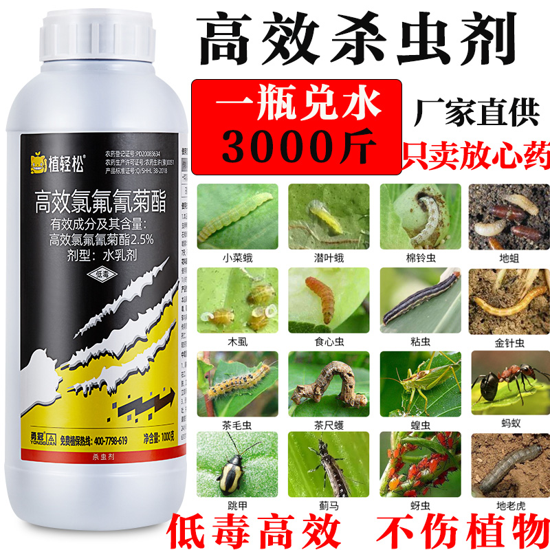 高效氯氟氰菊酯杀虫剂青菜虫蚜虫