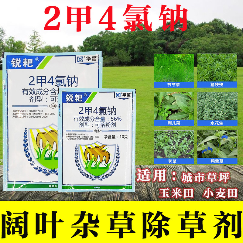 华星56%2甲4氯钠一年生阔叶杂草除草剂除水稻玉米田水花生猪殃殃