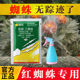 植轻松45%联肼乙螨唑红蜘蛛杀虫剂柑橘月季 白蜘蛛专用药虫卵兼杀