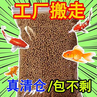 鱼饲料鱼粮小鱼幼鱼小型鱼观赏鱼斗鱼孔雀鱼锦鲤专用上浮金鱼饲料