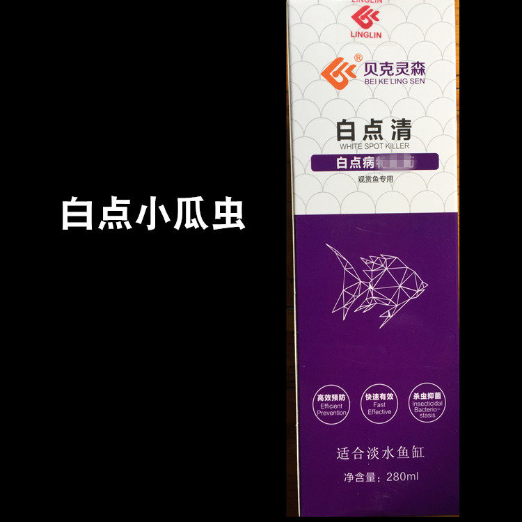 贝克灵森白点净锦鲤金鱼小瓜虫