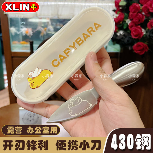 小霖家【迷你小刀】430钢水果刀