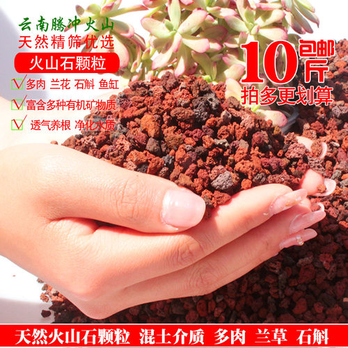 天然火山石鱼缸过滤多肉疏松透气