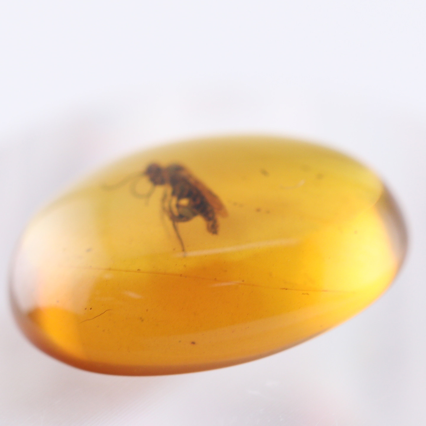 陈万福珠宝天然缅甸琥珀金珀红蜜包裹亿年虫珀戒面虫子个头完整,珠宝/钻石/翡翠,其他,淘宝优惠券,粉丝福利购,淘宝优惠卷