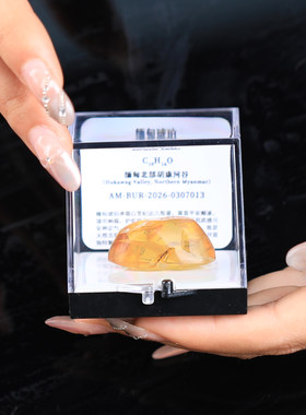 保真缅甸原矿天然琥珀原石收藏