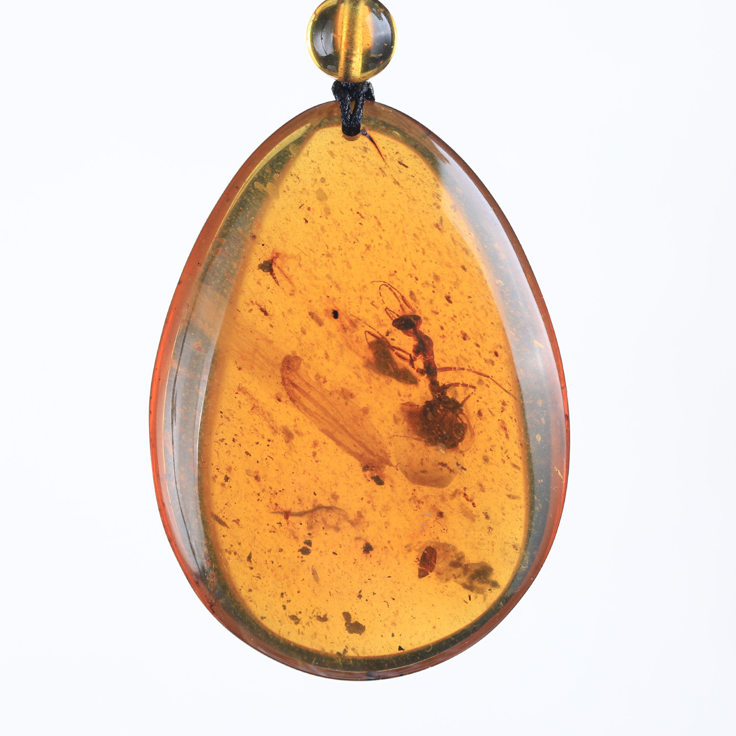 远古白垩纪时期产地缅甸天然有机宝石昆虫植物琥珀蜜蜡收藏品吊坠