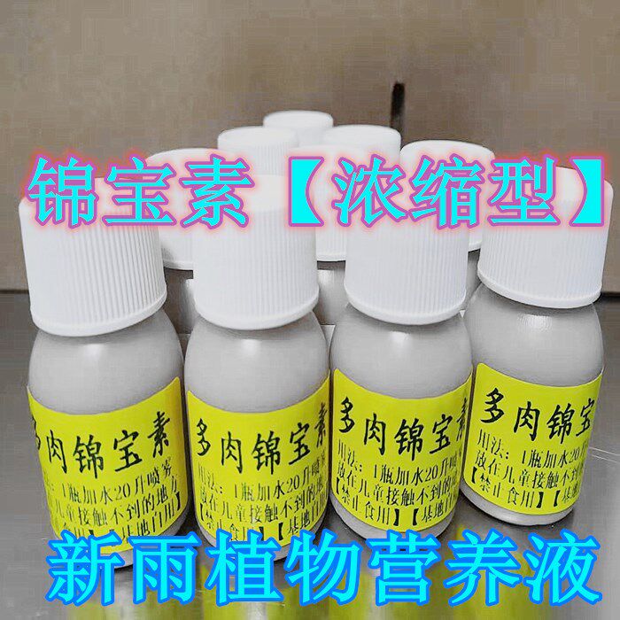 锦宝素多肉出锦药水浓缩型喷雾型