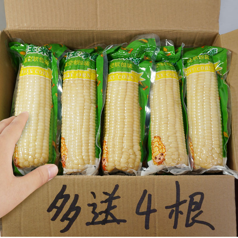 东北白糯玉米新鲜玉米