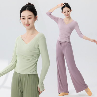 V领舞蹈练功服套装女古典舞专业形体上衣教师中国舞现代舞训练服