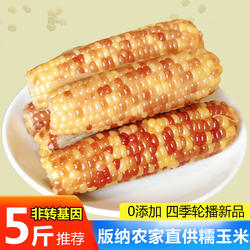 5斤 云南西双版纳香糯小玉米傣家花糯新鲜真空即食粗粮甜糯玉米棒