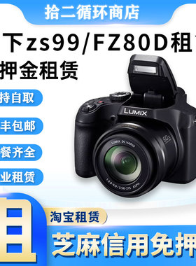 租Panasonic松下FZ80D光线变焦数码相机ZS99演唱会旅游卡片机租赁