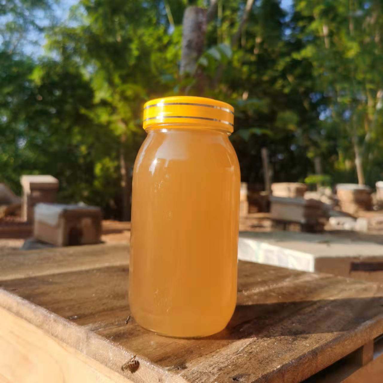 鸭脚木蜜冬蜜雪糖结晶蜜蜂蜜纯天然中华蜜蜂1000g自养土蜂蜜